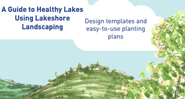 A Guide to Healthy Lakes