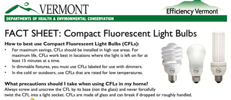 FACT SHEET: Compact Fluorescent Light Bulb