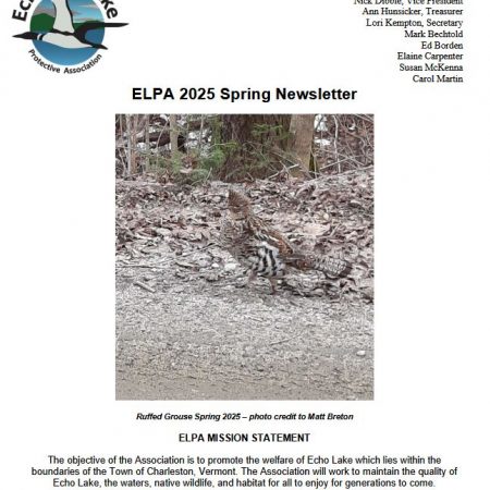 Spring Newsletter 2025 with an image of a ruffed grouse in the woods